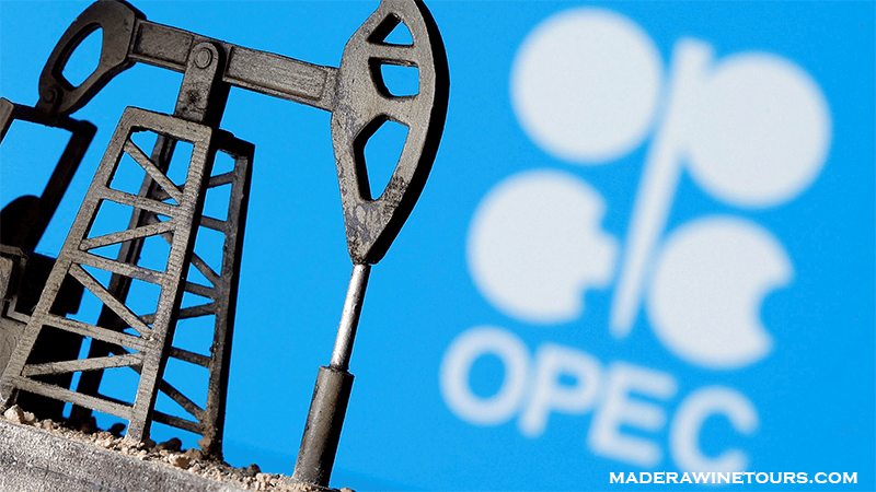 OPEC คาดการณ์ว่าอุปสงค์น้ำมันดิบจะค่อยๆ ฟื้นตัวในปีนี้และปีหน้า เนื่องจากกลุ่มโอเปกบรรลุข้อตกลงเพื่อฟื้นฟูการผลิตที่ยังคงปิดตัวลงตั้งแต่เกิด