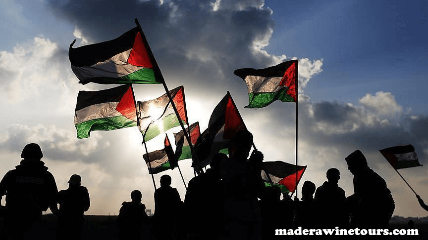Palestinian groups องค์กรภาคประชาสังคมของปาเลสไตน์ได้ประณามความคิดเห็นของบุคคลอาวุโสที่ UNRWA เกี่ยวกับการทิ้งระเบิดของอิสราเอล 